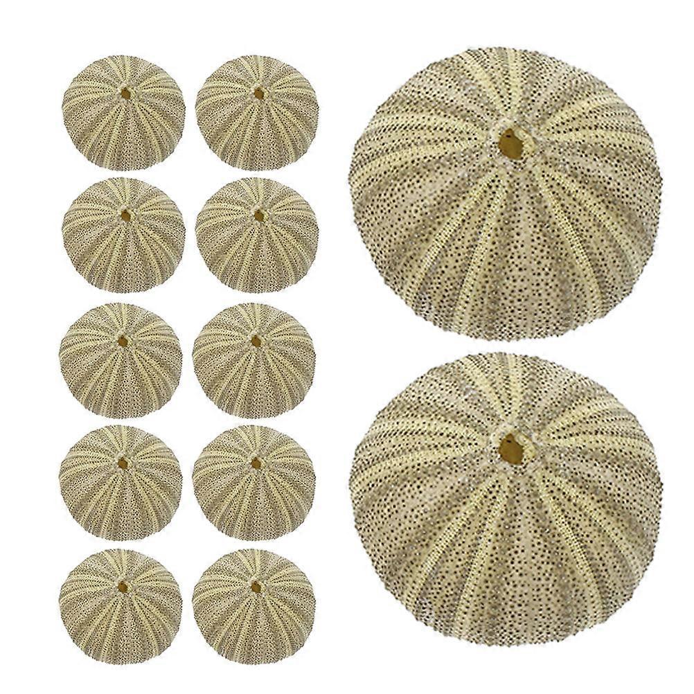 Craft Sea Urchin Shells 18Pcs Green Natural Urchin Shells for Vase Filler