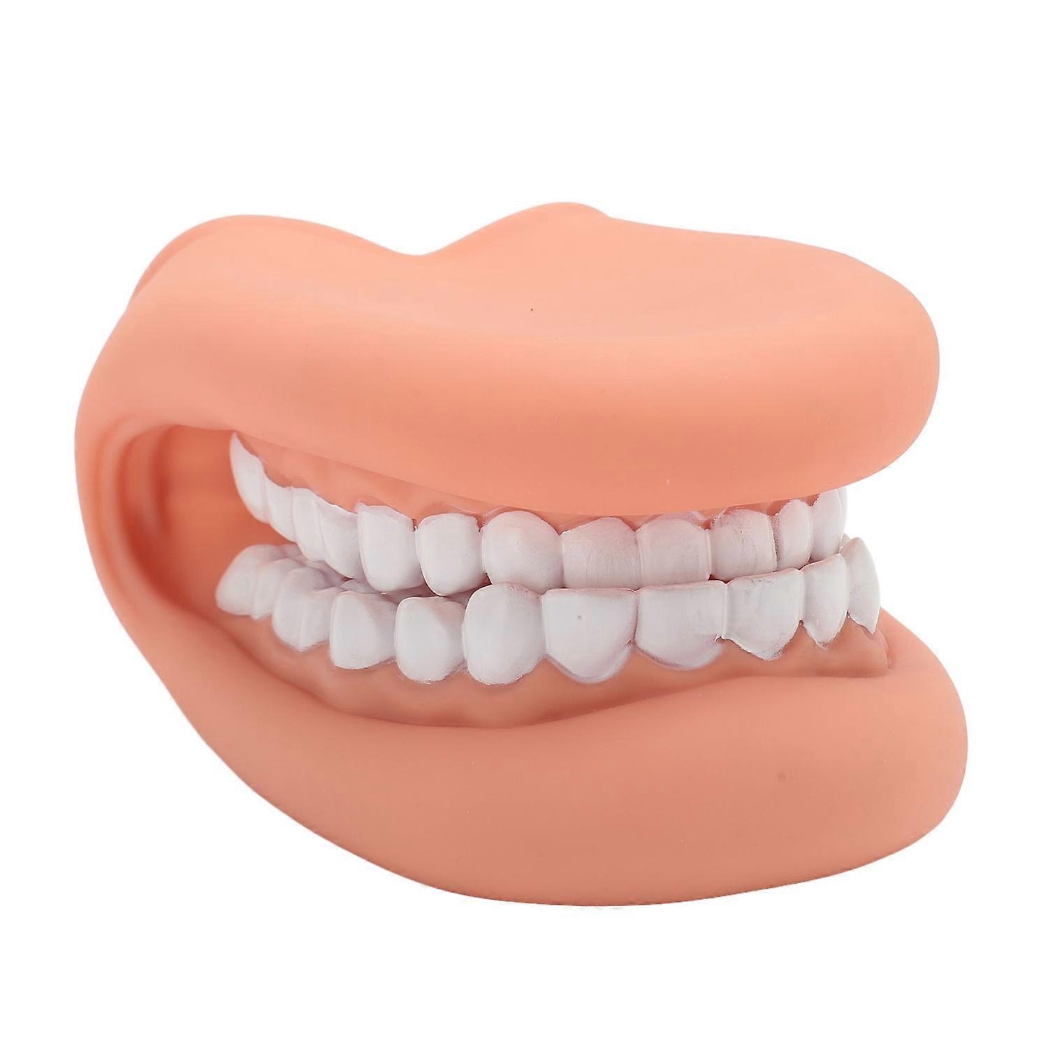 Feature:
1. Basic Mouth Structure: The model have a basic mouth structure, including upper and lower