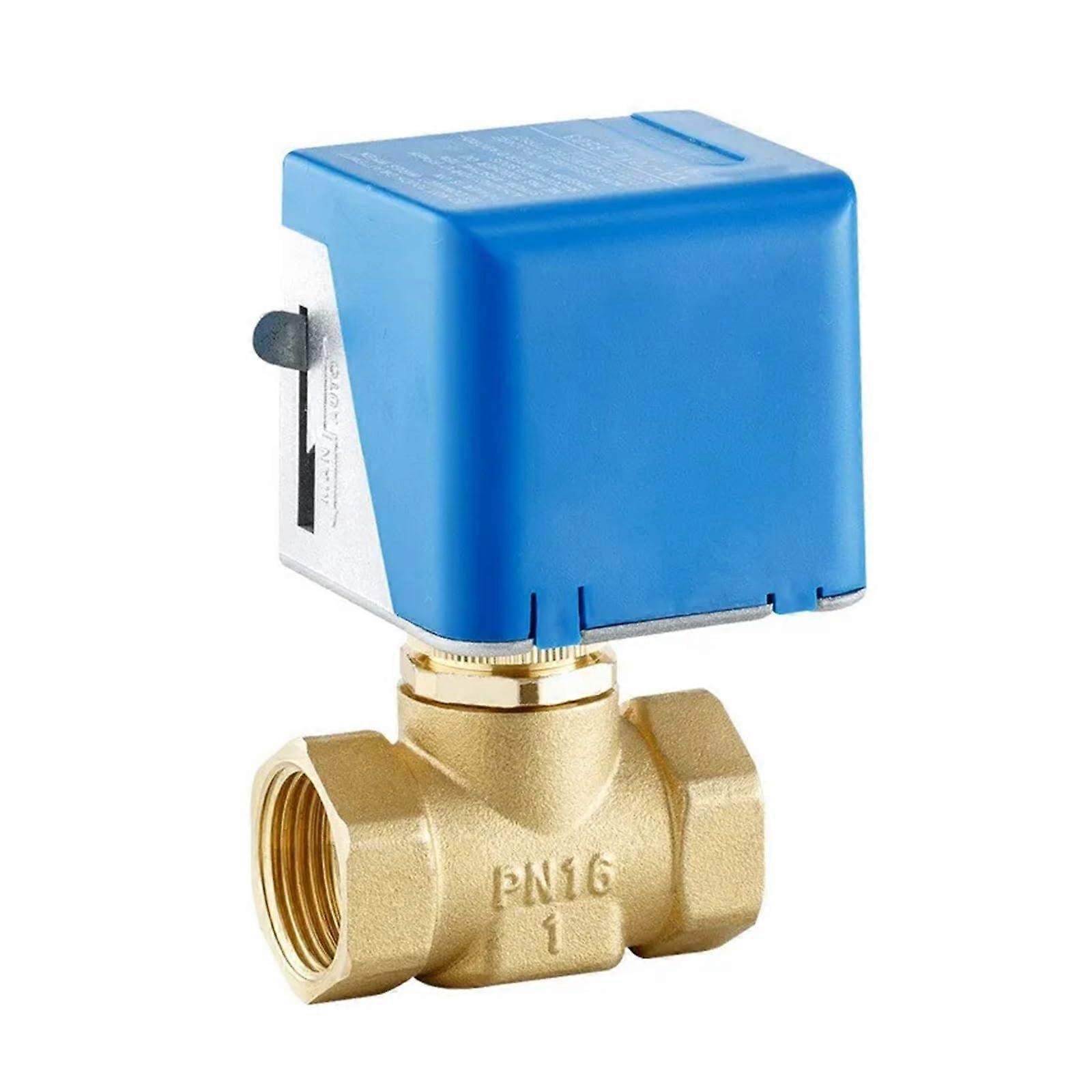 Motorized Brass Globe Valve DN15 DN20 DN25 2Wire AC 220V TwoWay Shutoff Valve