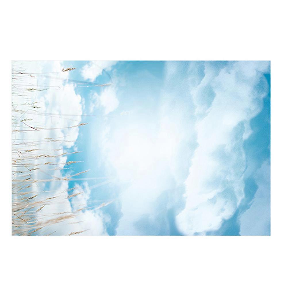 Backdrop for Photography Prop for Decoration 2Pcs Blue Sky Pattern