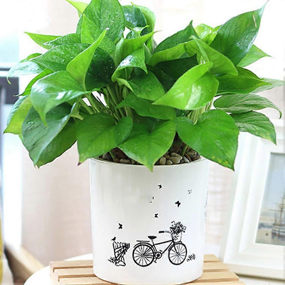 White Self Watering Flowerpot Plastic Automatic Water Absorbing Pot 2Pcs