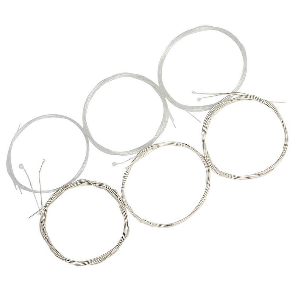 String Acoustic Oud Strings Replacement Set for Decoration 30Pcs Silver Nylon Strings