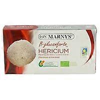 Lion's Mane Bio 30 vegetable capsules