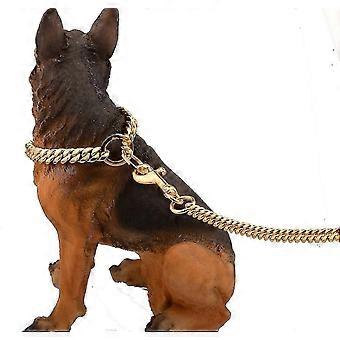 10 mm metall hundebånd Hundekjede med polstret håndtak Med polstret håndtak For mellomstore hunder Kjæledyrbånd