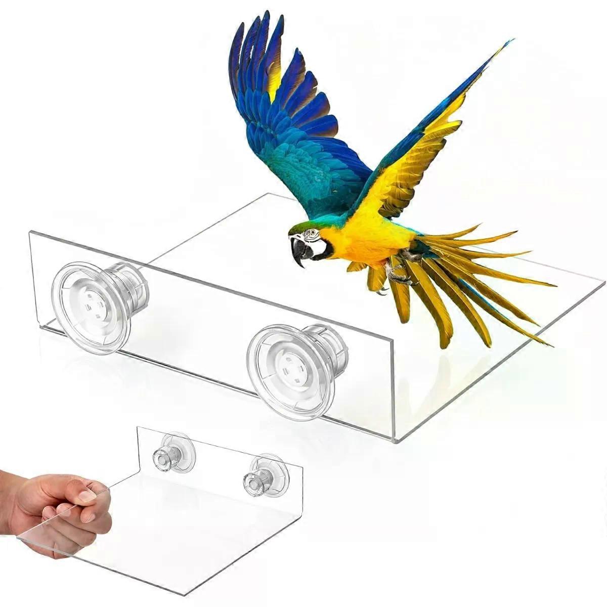Bird Window Perch Stand with Suction Cup for Parrots