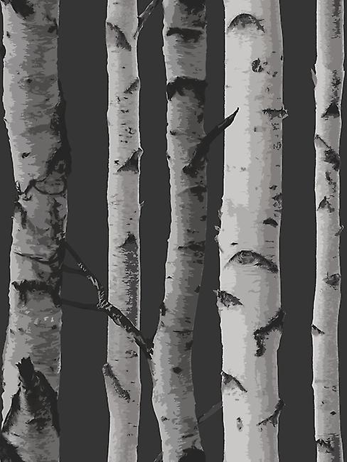 Birken Tapete feine Dekor
