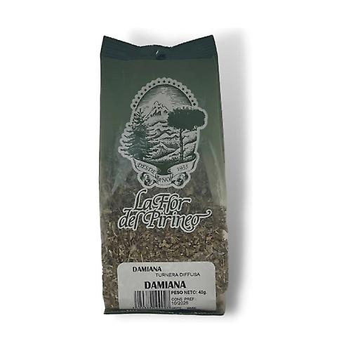Damiana 40 g