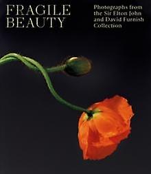 Fragile Beauty Paperback Book