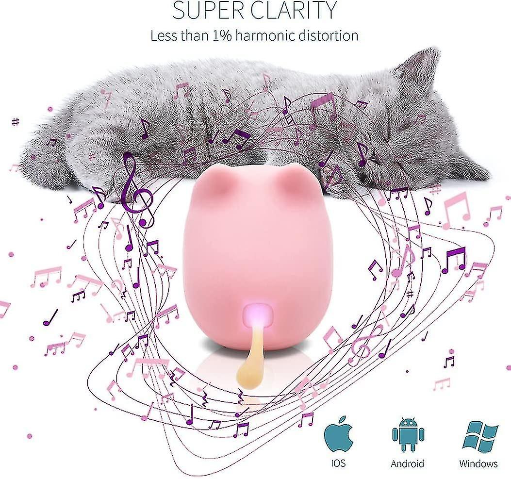 Mini Wireless Portable Bluetooth Speaker -Pink