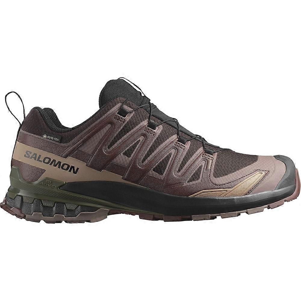 Shoes Salomon Xa Pro 3d V9 Gtx L47583500