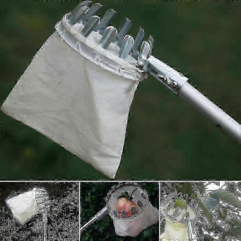 Horticultural Fruit Picker Gardening Apple Peach Picking Garden Tools