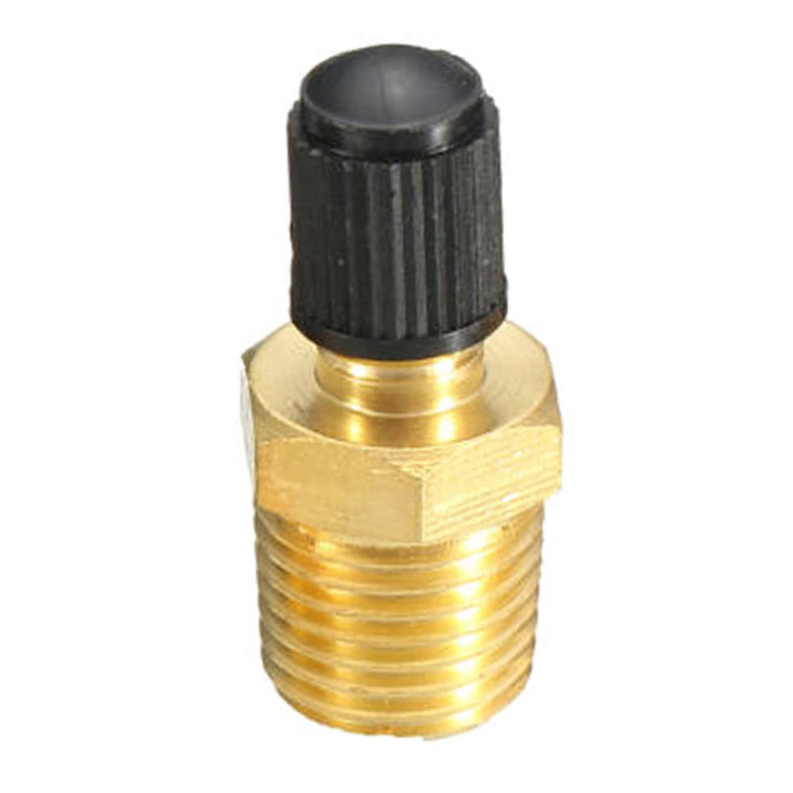 1/4 inch NPT for tank corrosion protection brass Schrader valve for use with air compressor tanks, suitable for automobiles, brass