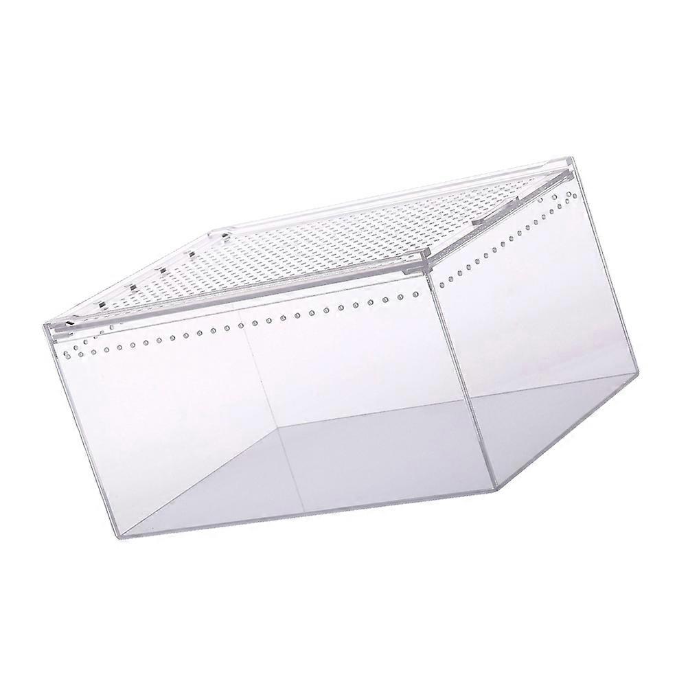 Acrylic Reptile Box Climbing Pet Feeding Container Transparent Breeding Box