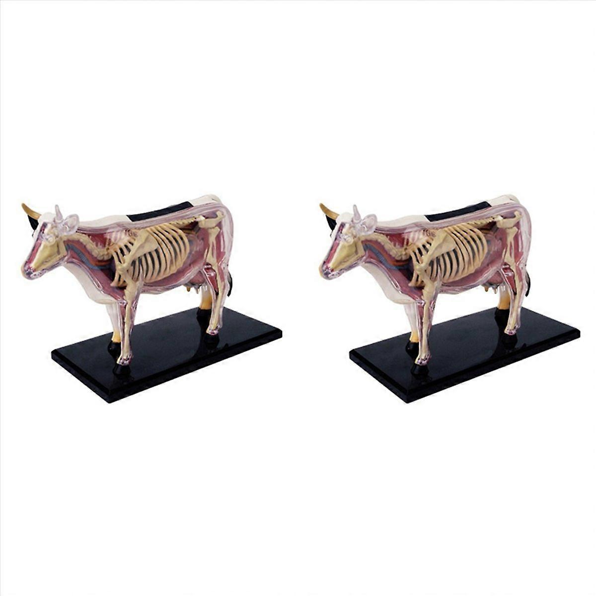 2X Animal Organ Anatomy Model 4D Cow Intelligence Assembling Toy Teaching Anatomy Model Cow Assemble