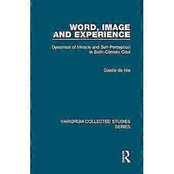 Word Image and Experience Dynamics of Miracle and Self Perception in Sixth Century Gaul