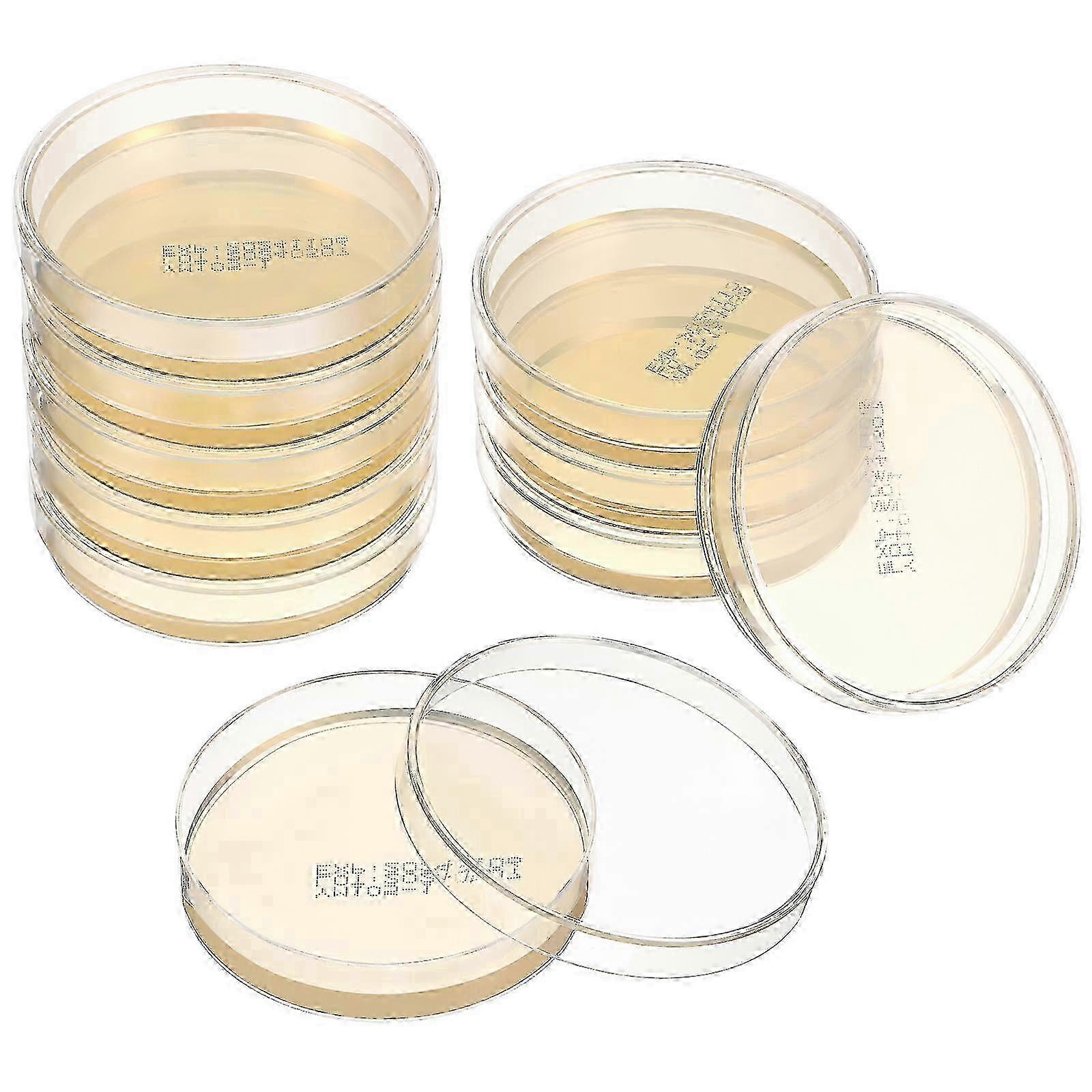 Agar Petri Dish Ready to Use 10pcs Set School Laboratory Consumables