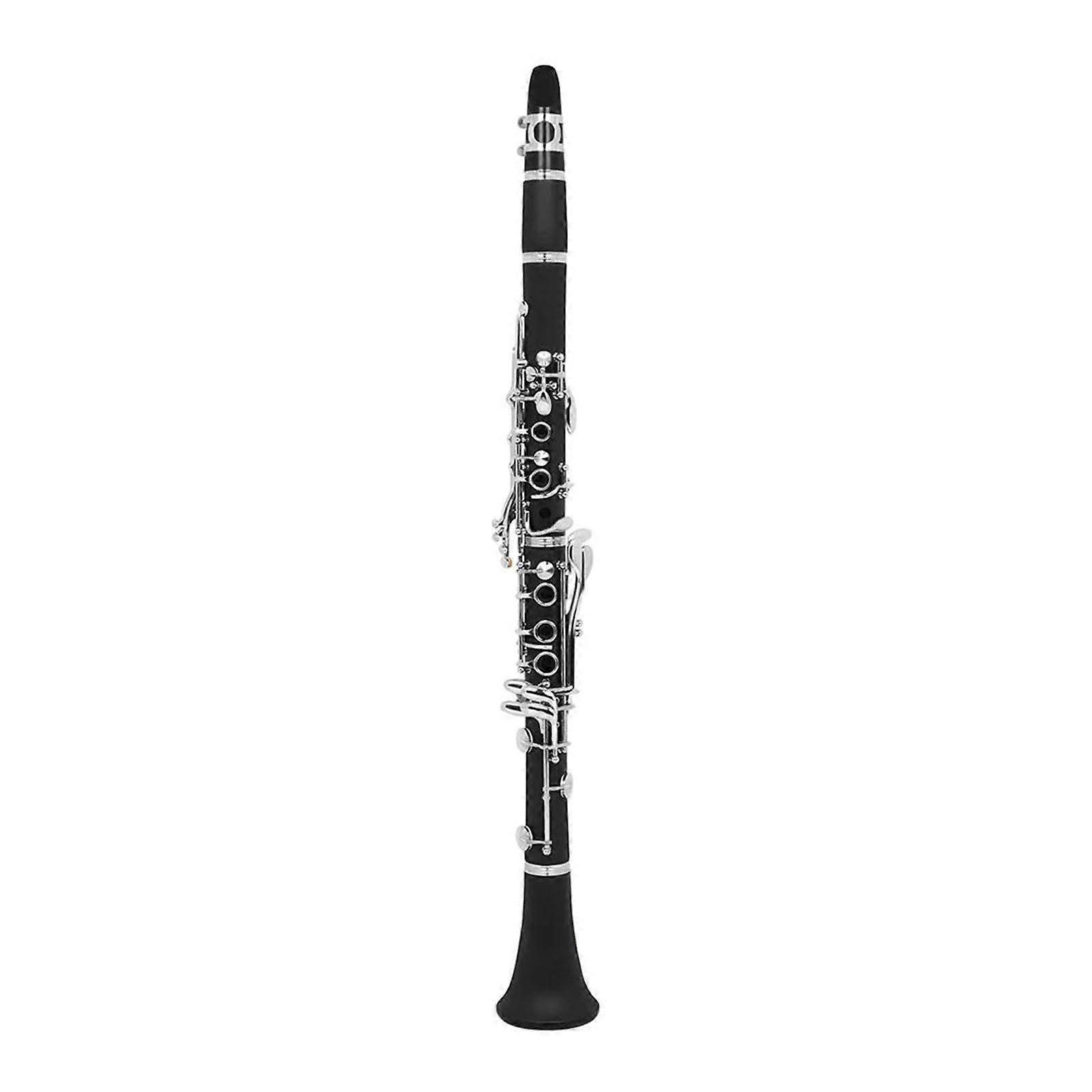 Professional Bb Clarinet for Beginners and Students, Clear Sound, Responsive Keys, Case and Accessories