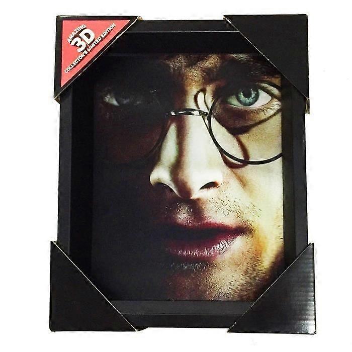 3D Poster - Harry Potter - Harry/Voldemort - Multicolor - Contemporary - Rectangular