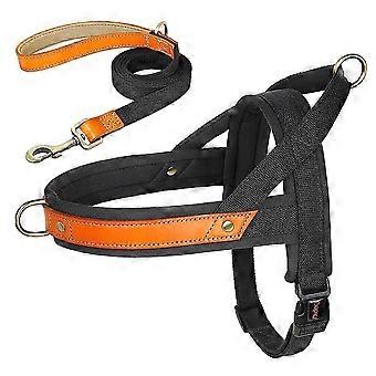 No-Pull Dog Harness and Leash Set with Soft Padded Nylon and Control Handle