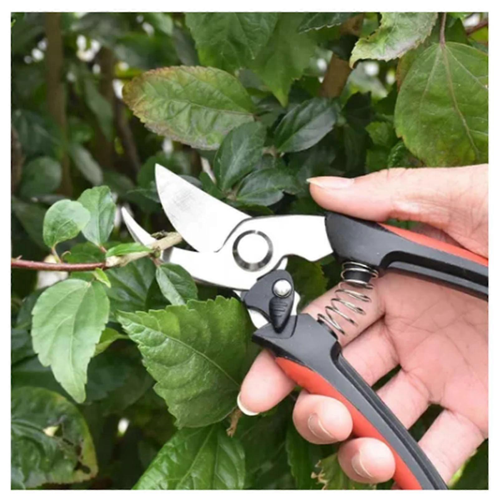 2Pcs Garden Pruning Shears Labor Saving Fruit Tree Thick Branch Pruning Shears Gardening Scissors Tools