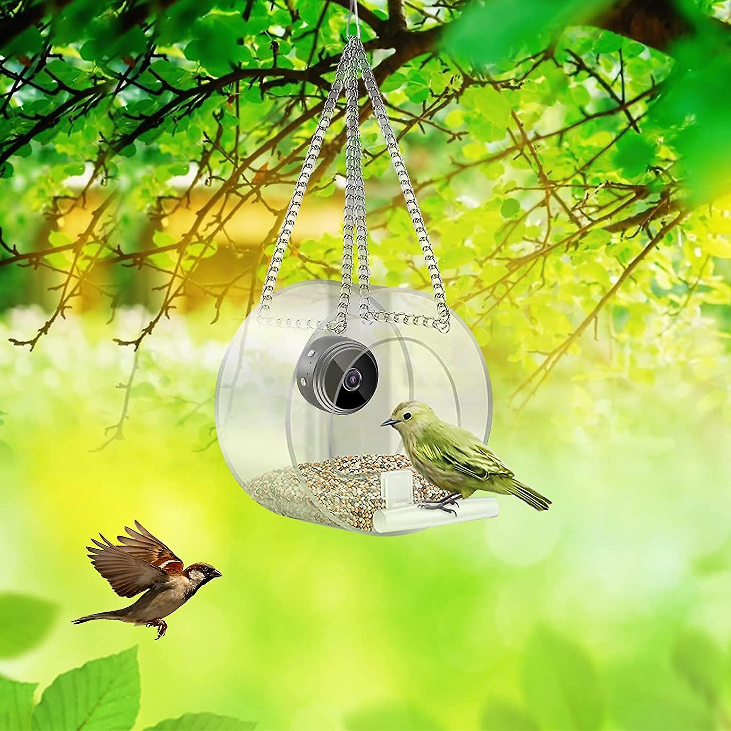 Window Bird Feeder, Transparent Acrylic Bird Cage, Bird Feeder, With Camera 12.7*7cm