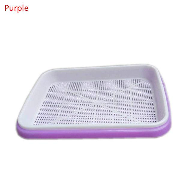 3Pcs/set Soilless Culture Beans Hydroponics Seed Germination Tray Seedling Sprout Plate Grow Nursery Pots Vegetable Sprouting Tr