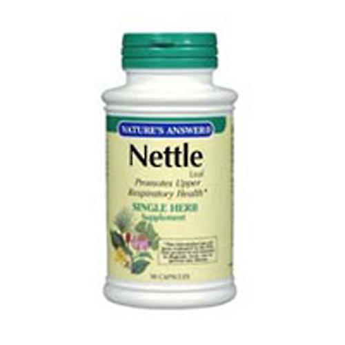 Nature's Answer 荨麻叶,90 粒胶囊 (2 片装)