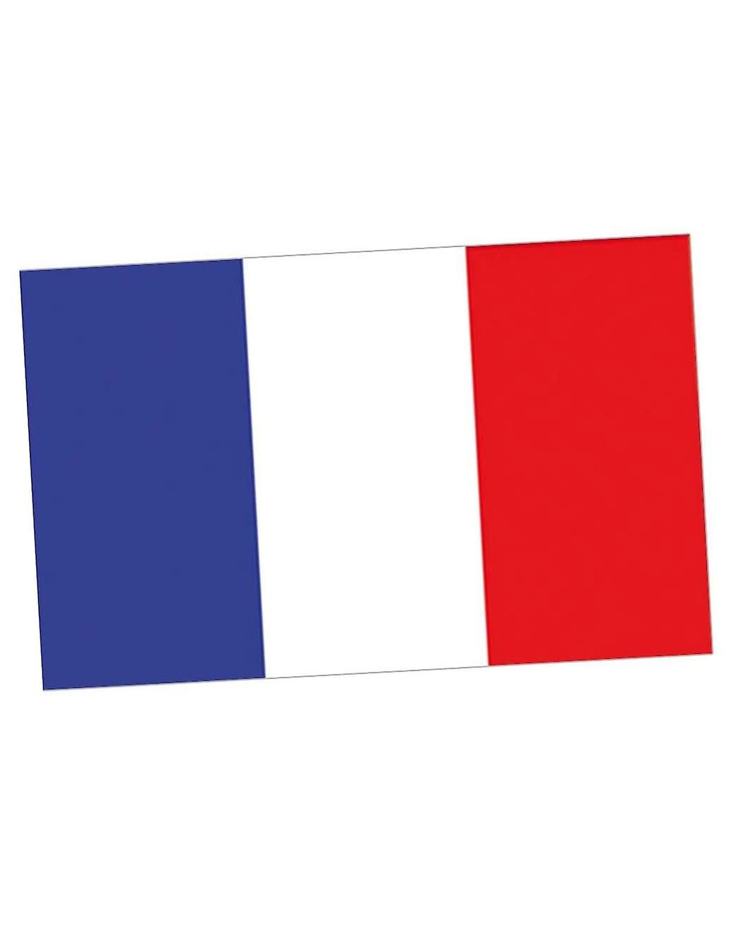 Flag support France 150 x 90 cm