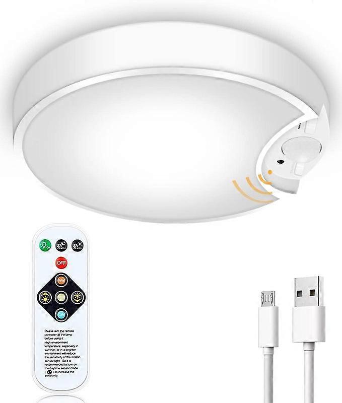 Motion Sensor Ceiling Light