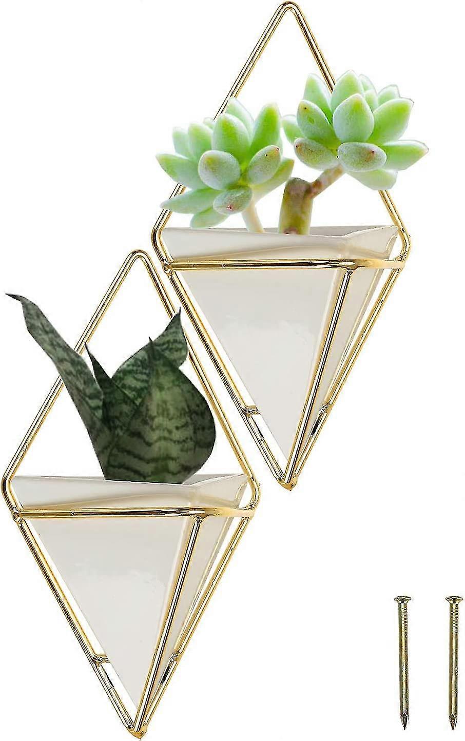 2 Pack Small Hanging Planter Vase & Geometric Wall