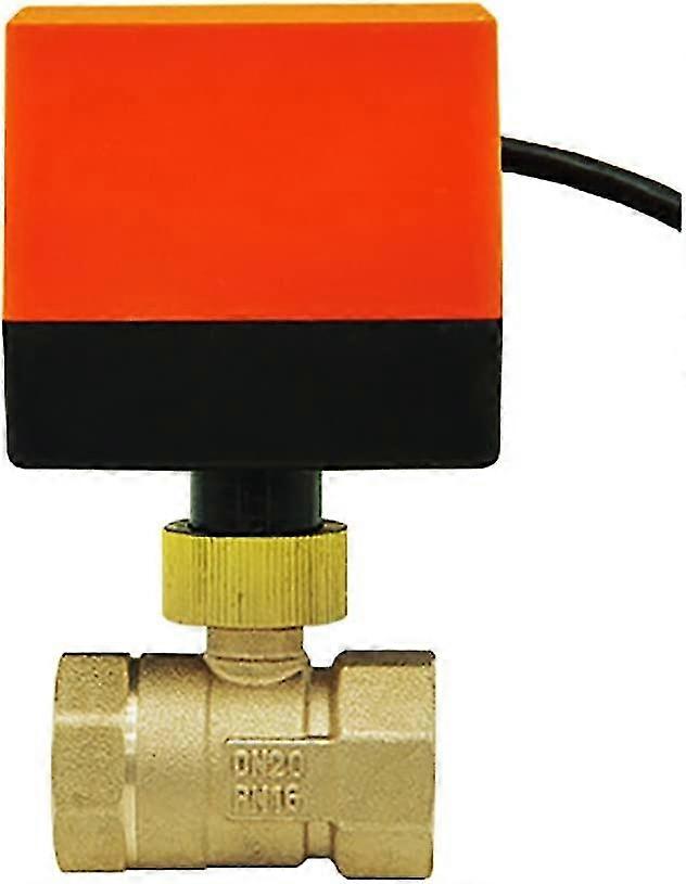 Ac220v Ac24v DC12v 2ウェイ電動バルブ - 電動2ウェイボールバルブdn15 Dn20 Dn25 Dn32 Dn40 Dn50(ac220v Dn20)
