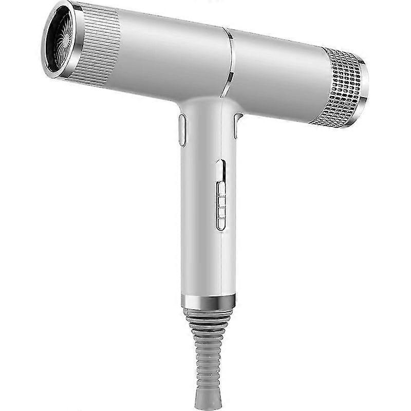 Powerful Ionic Hair Dryer 1300w For Home SalonSilver