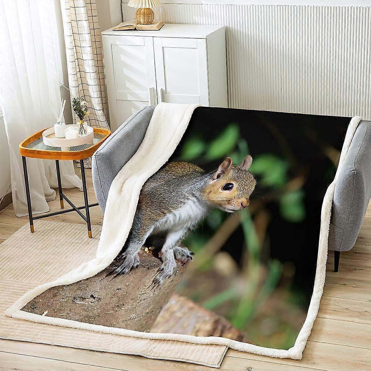 Sushi Pattern Blanket Japanese-Style Fleece Blanket for Bed Couch Sofa Kids Kawaii Food Theme Throw Blanket Cute Japanese Sushi Plush Sherpa Throw Bla