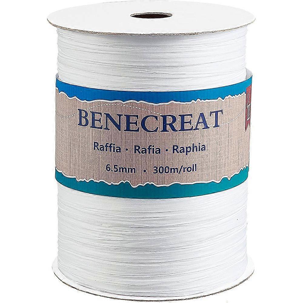 1 Roll Raffia Paper Cords for DIY Jewelry Making Paper Twine White 1/4 inch(8mm) 300m/roll 1roll/set