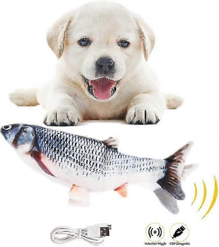 Jouet pour chien poisson, jouet électrique (simulation jouet rechargeable USB en peluche interactif), jouet à mâcher donnant des coups de pied pour