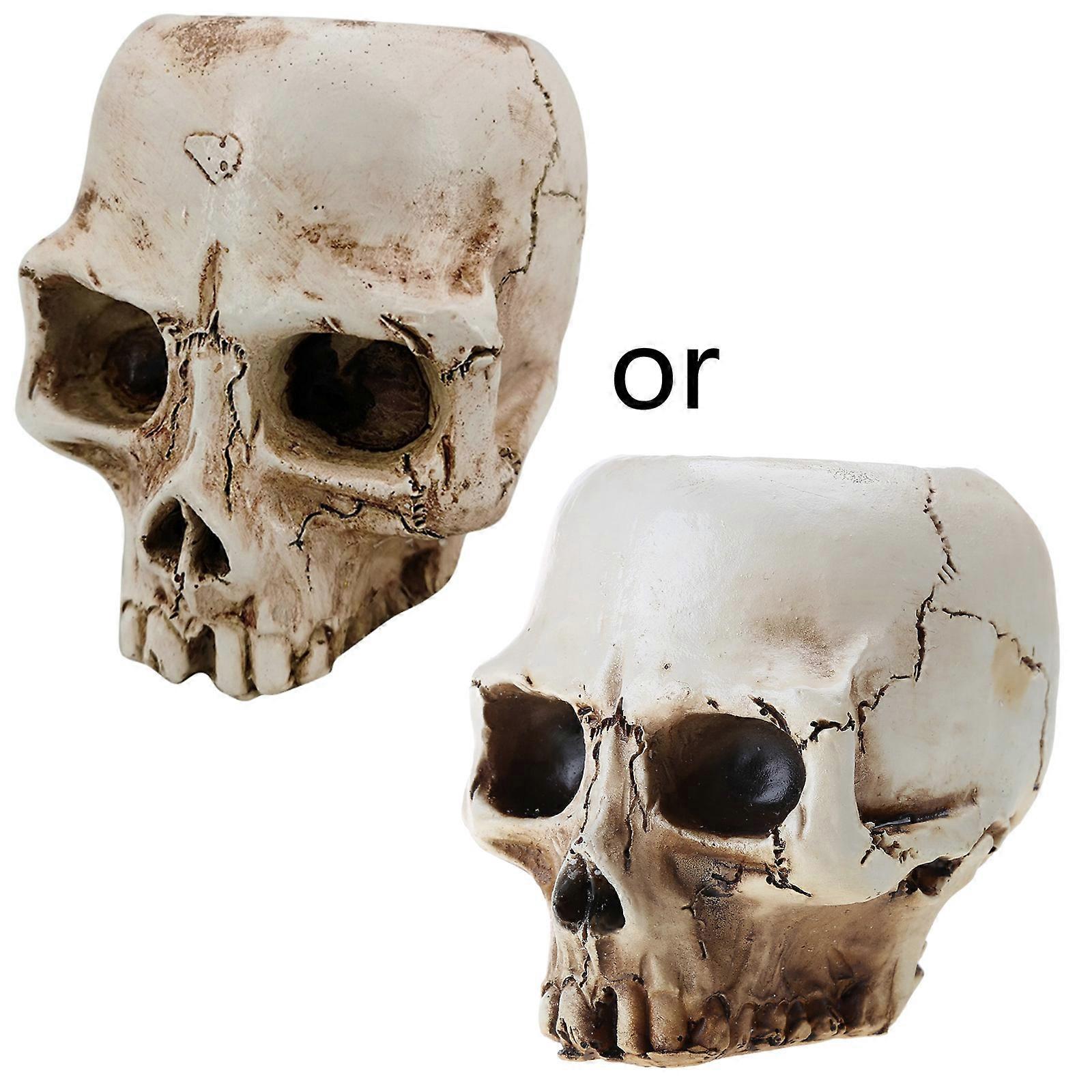 Resin Skull Shaped for Head Design Flower Pot Planter Container Storage for Tank