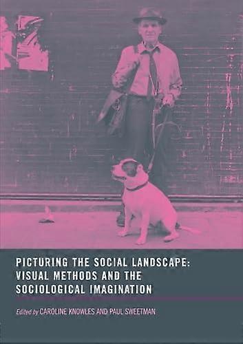 Picturing the Social Landscape: Visual Methods and the Sociological Imagination