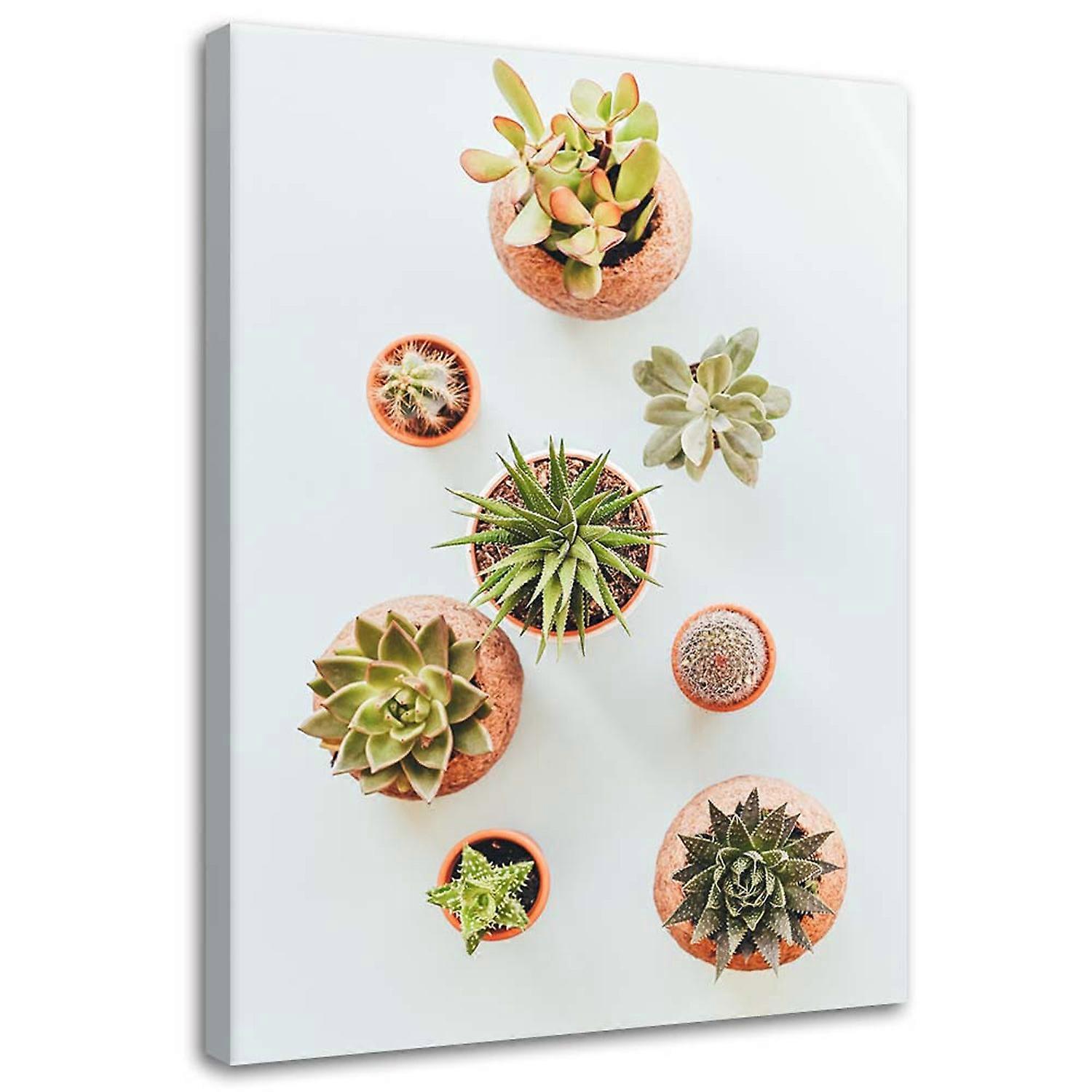 Lienzo, Plantas en maceta - 40x60