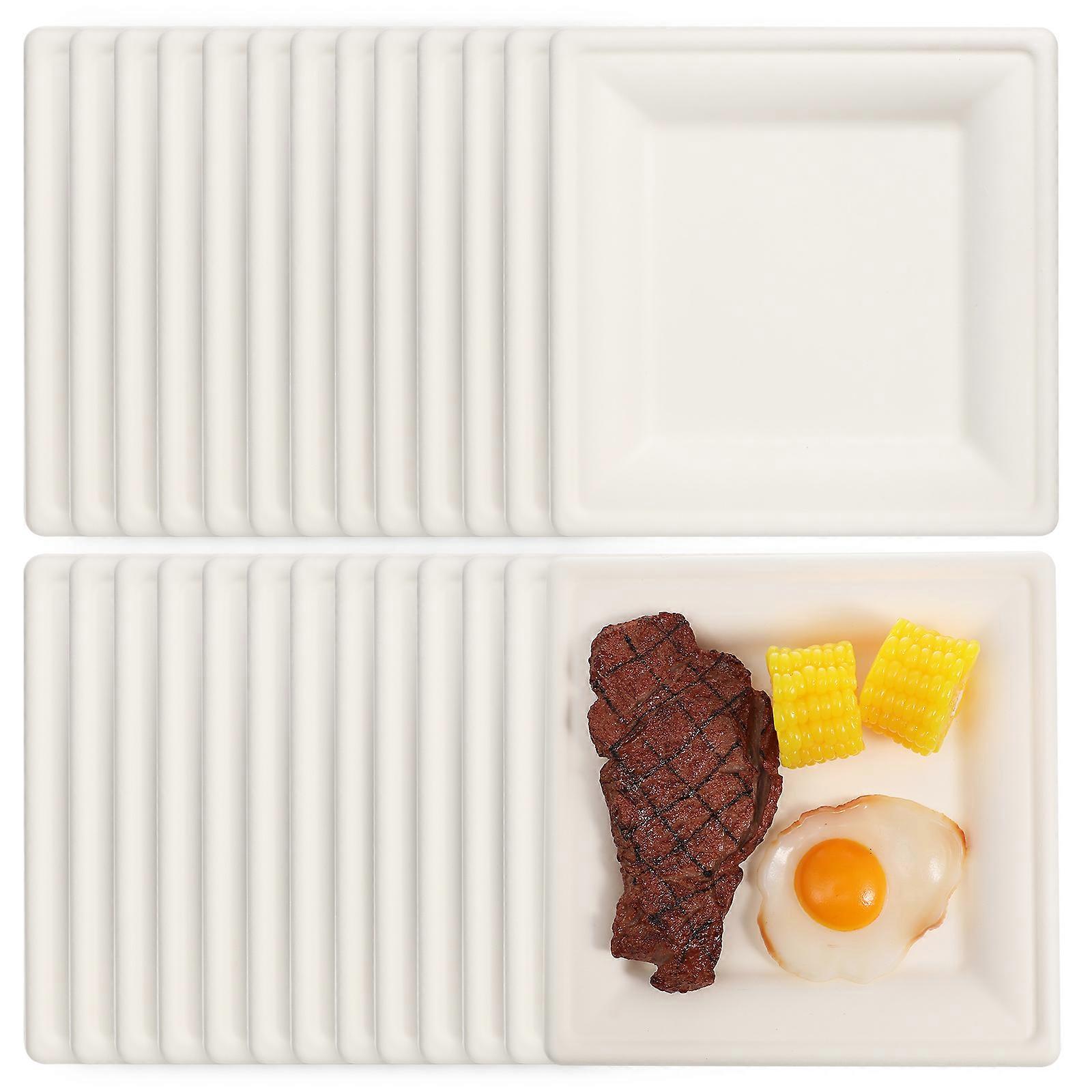 50pcs Square for Picnic Camping