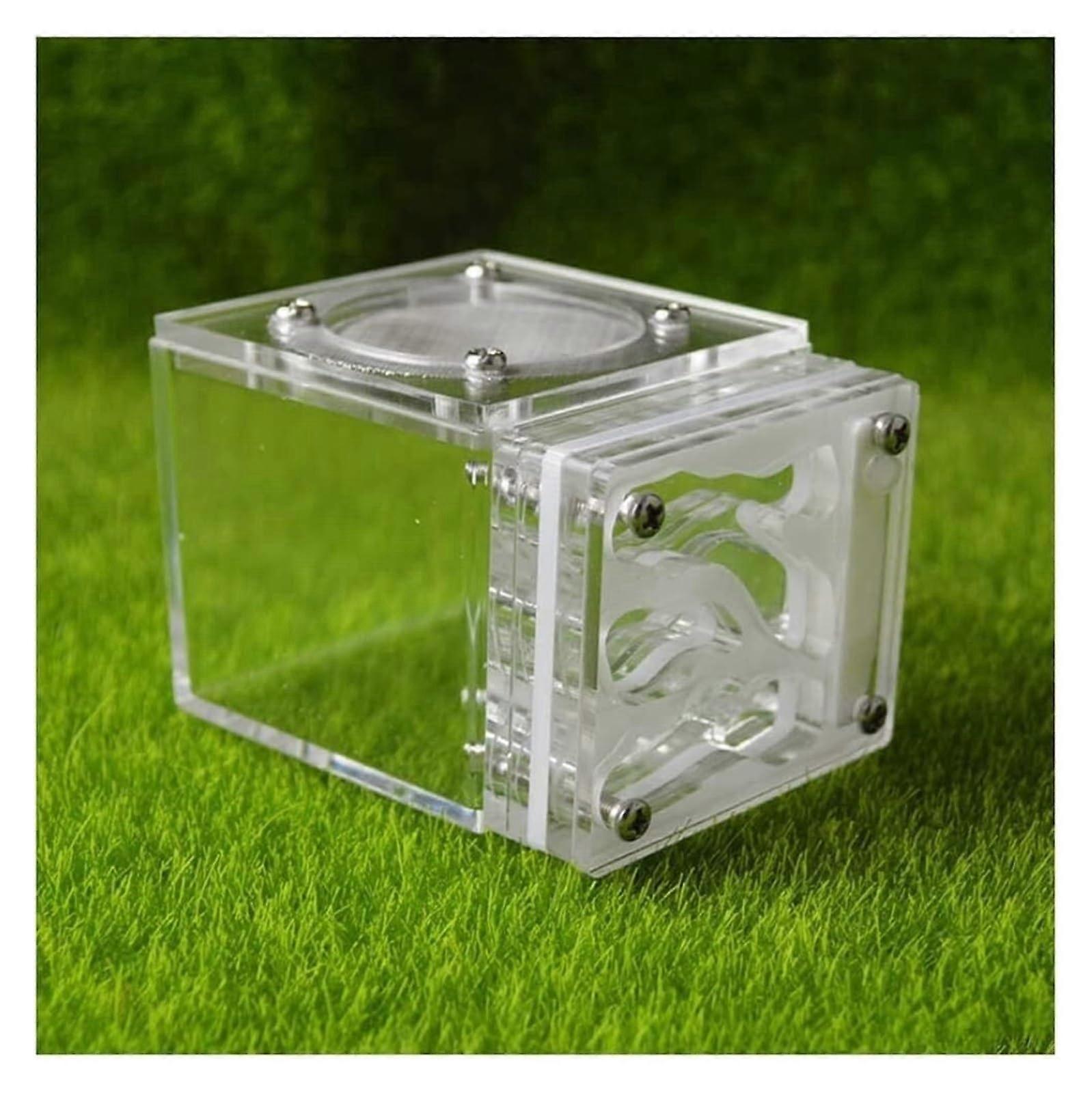 Ant Farm Square Habitat, Clear Handcrafted Ant Nest, Educational Ant Colony Ecosystem 7.7cm White