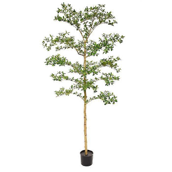 Kunstig Bucida Buceras (210 cm)