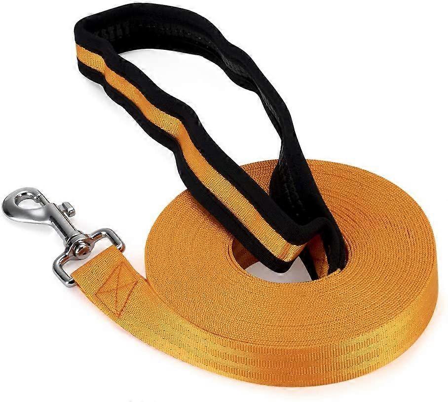 Dog training leash