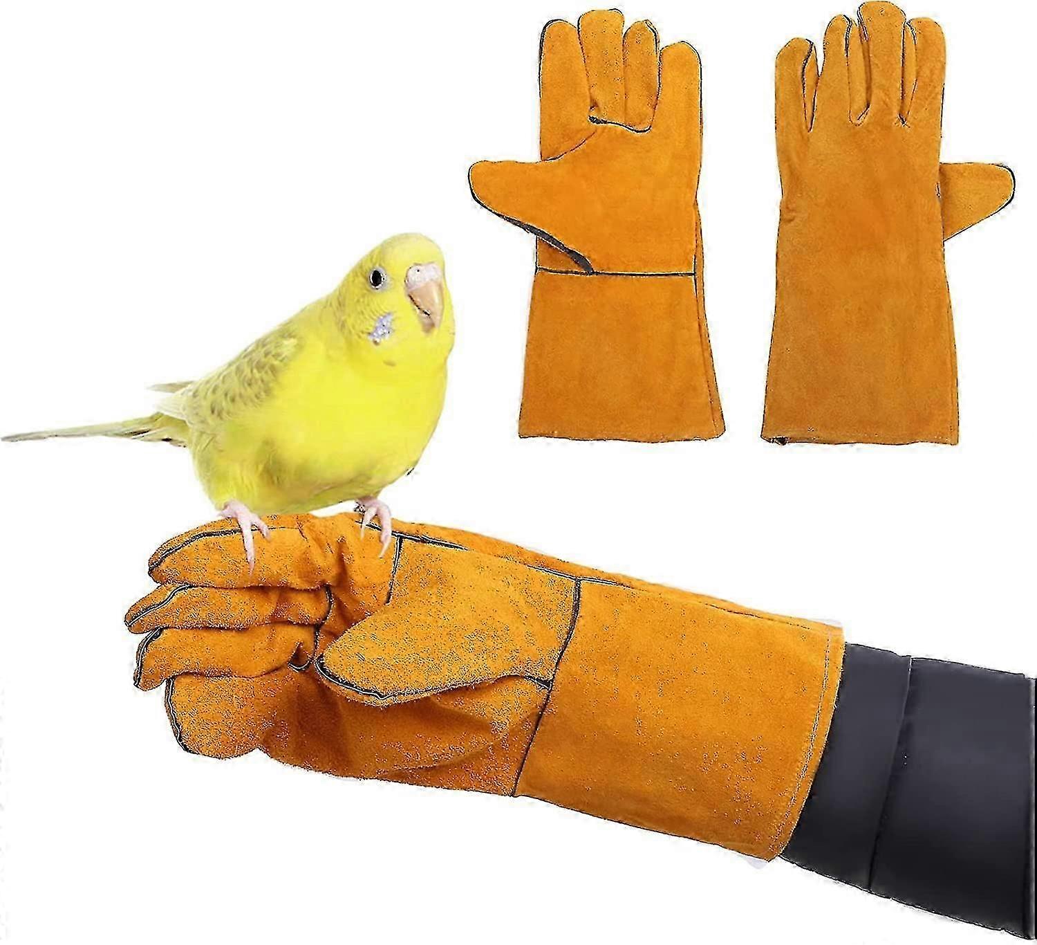 鸟类训练 长尾小鹦鹉防刮/咬手套 玄凤鹦鹉 Conures 爱情鸟 鹦鹉 雀 金刚鹦鹉 非洲虎皮鹦鹉 长尾小鹦鹉 蜥蜴