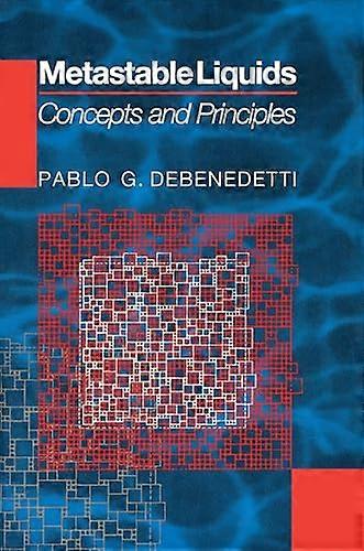 Metastable Liquids: Concepts and Principles