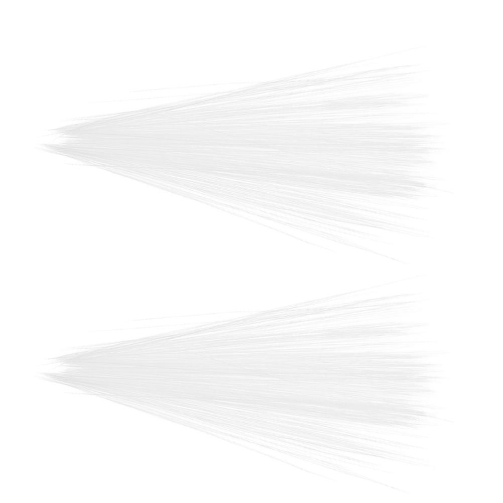 White Plastic Faux Cat Whiskers for Crafting 2 Bottles Pointed Tip Style