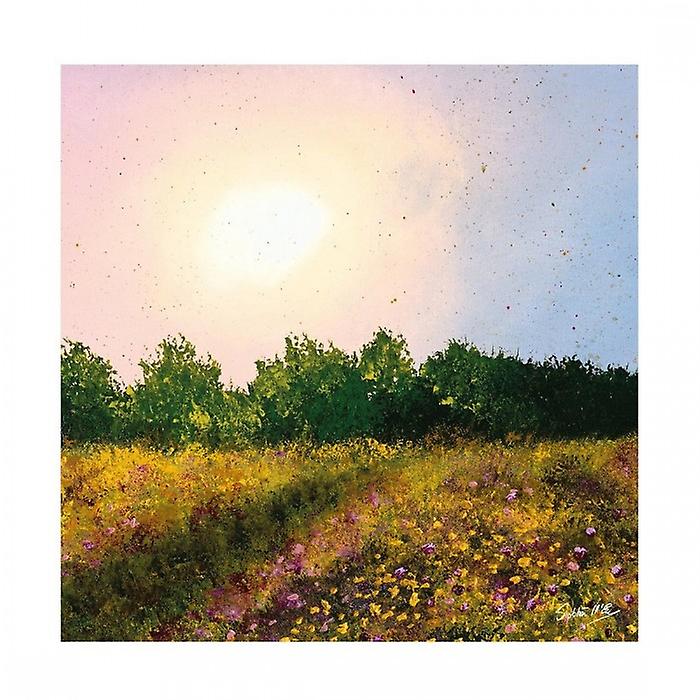 Siobhan McEvoy Wildflower Meadow Paper Print