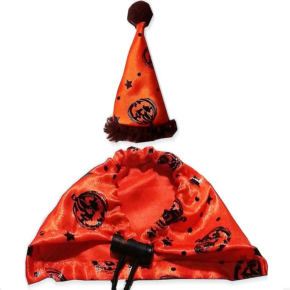 Bearded Dragon Costume Set Orange Hat And Cloak Lizard Clothes Resizable