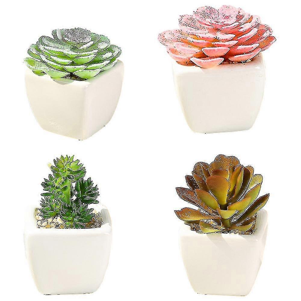 Simulation De Plantes Décoratives En Pot Succulentes