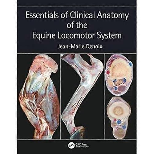 Essentials van klinische anatomie van het Equine Locomotor System