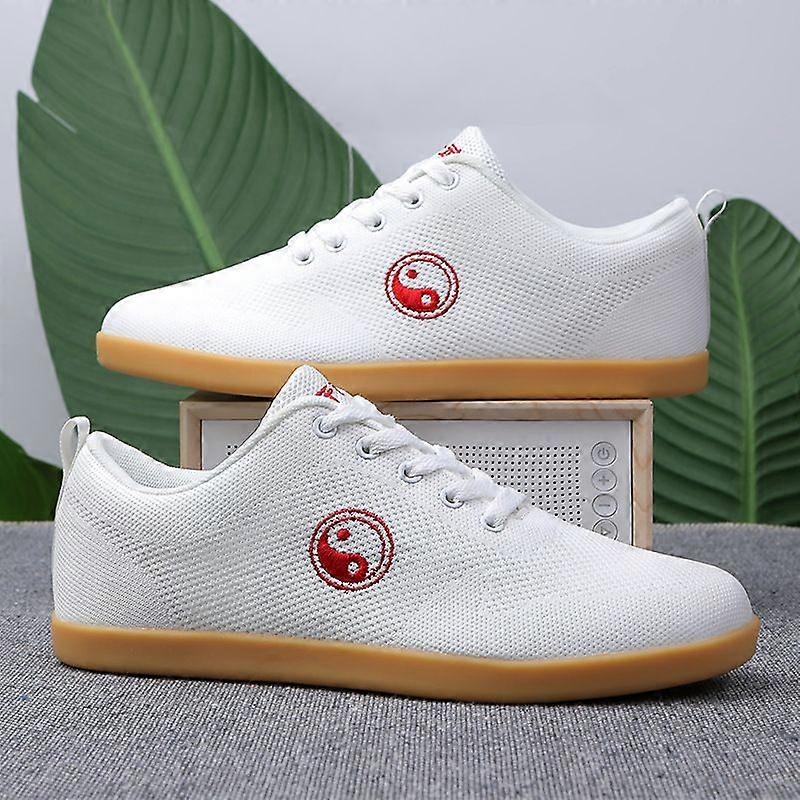 NEW 2023 Tai Chi Martial Arts Shoes with Exceptional Elasticity,Comfortable, Anti-Slip, Anti-Shock, Kungfu Shoes